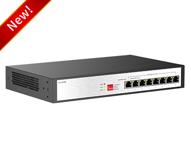 10G Switch